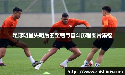 365(vip)英国上市官网